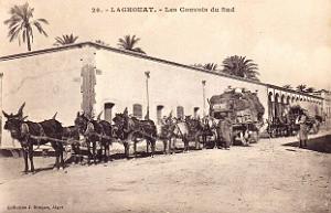 398- Laghouat - Convois du sud